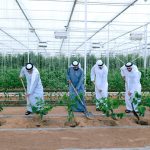 Sheikh Mohammed unveils Plant The Emirates