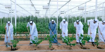 Sheikh Mohammed unveils Plant The Emirates