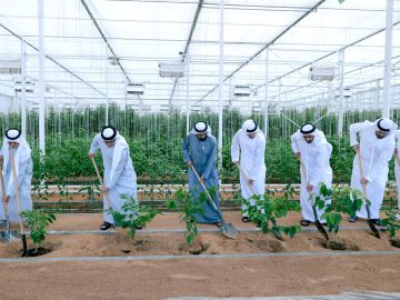 Sheikh Mohammed unveils Plant The Emirates