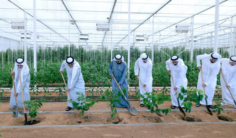 Plant the Emirates: Sheikh Mohammed Unveils Bold Vision for a Greener UAE